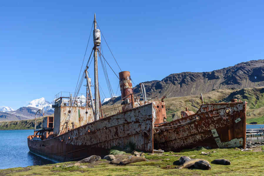 Islas Georgias del Sur 036 - Grytviken - Harpon Jetty.jpg